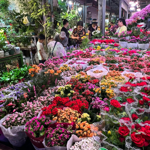 Feathers & Chrysanthemums: Beijing's Living Bestiary🔥From $299.00