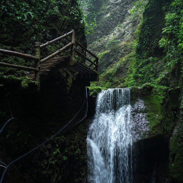Mount Qingcheng One Day Tour🔥From $299.00