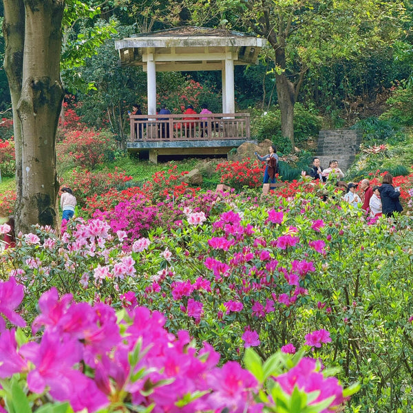 Explore the Botanical Gardens🔥From $299.00