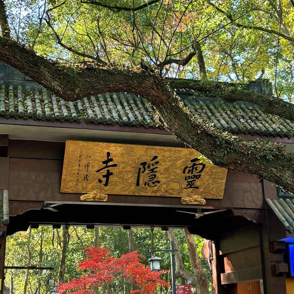 Pray at lingying temple for blessings🔥From $299.00